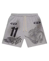 Hellstar Capsule 11 Complexcon Shorts Grey