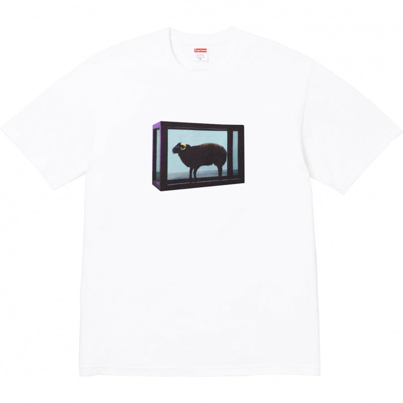 Supreme Photo Frame Graphic T-Shirt - White
