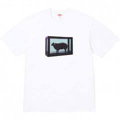 Supreme Photo Frame Graphic T-Shirt - White