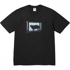 Supreme Photo Frame Graphic T-Shirt - Black